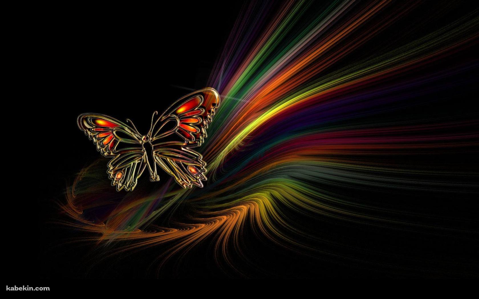 派手な蝶の壁紙(1680px x 1050px) 高画質 PC・デスクトップ用