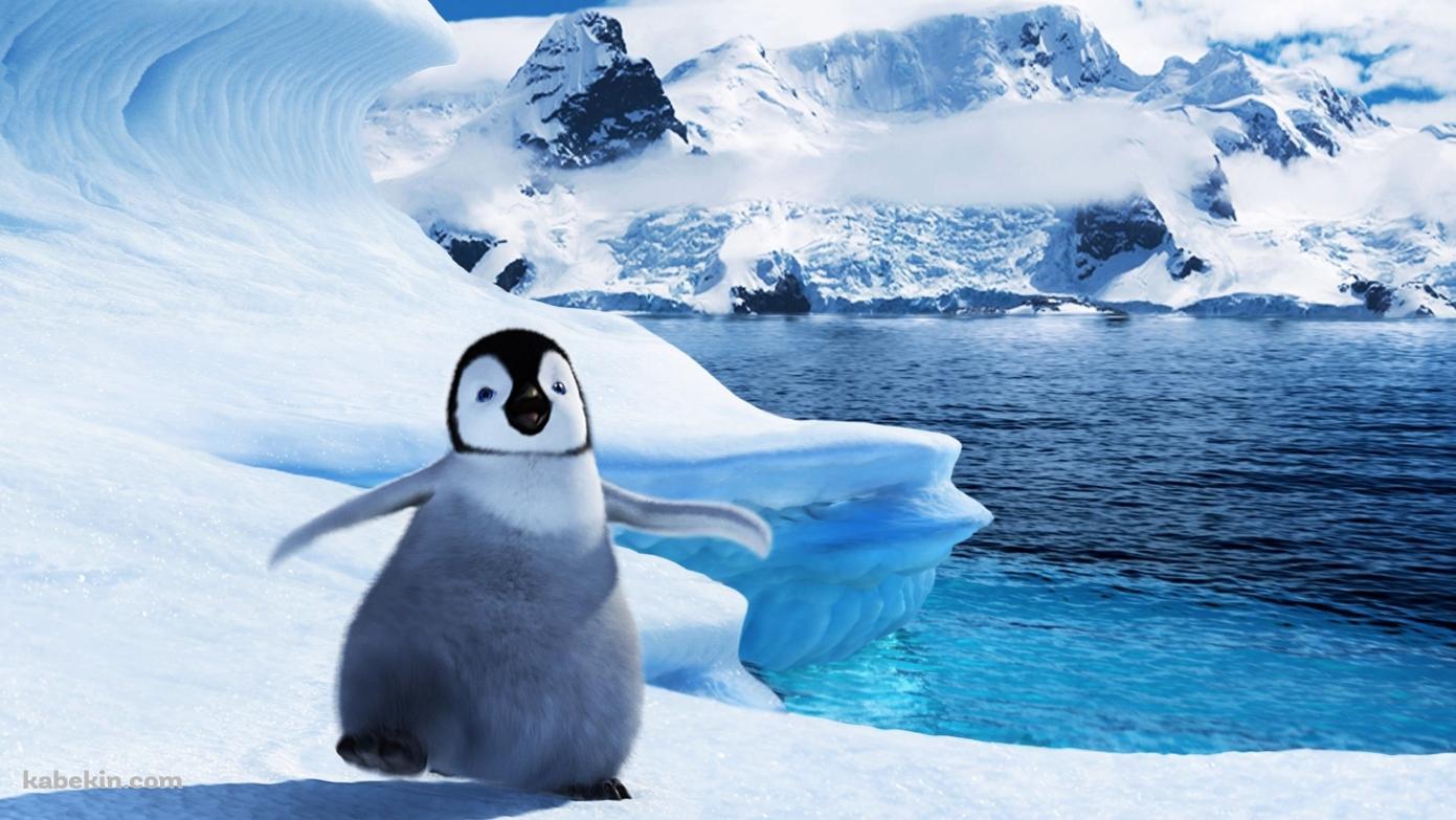 ペンギンの子供の壁紙(1391px x 783px) 高画質 PC・デスクトップ用