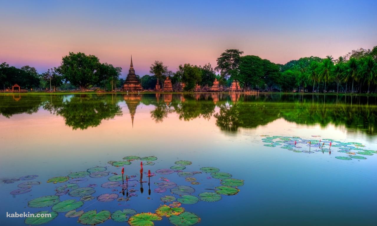 タイの蓮が浮かぶ公園の壁紙(1280px x 768px) 高画質 PC・デスクトップ用
