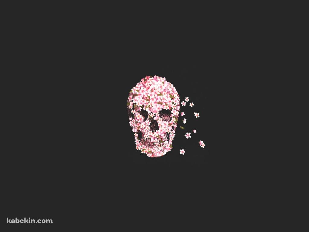 花のスカルの壁紙(1024px x 768px) 高画質 PC・デスクトップ用