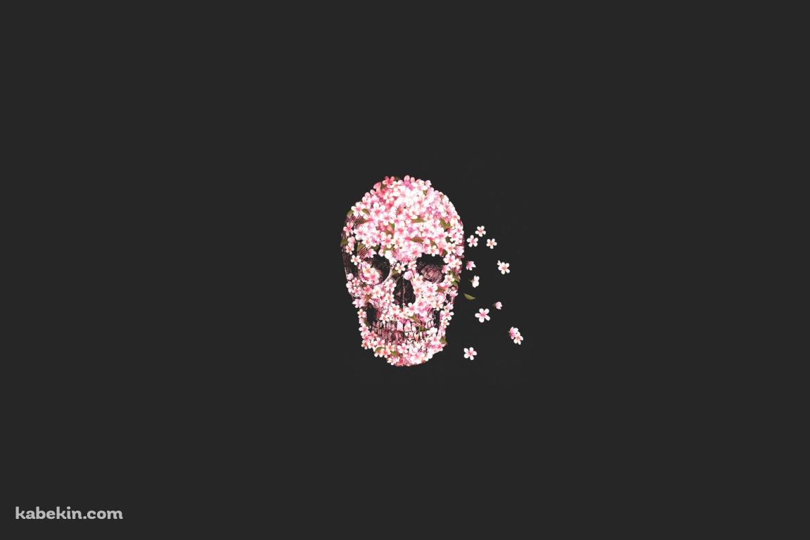花のスカルの壁紙(1152px x 768px) 高画質 PC・デスクトップ用