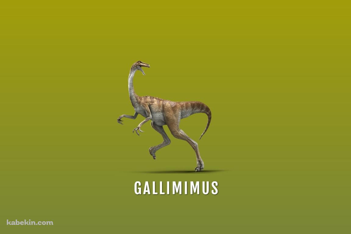 ガリミムスの壁紙(1152px x 768px) 高画質 PC・デスクトップ用