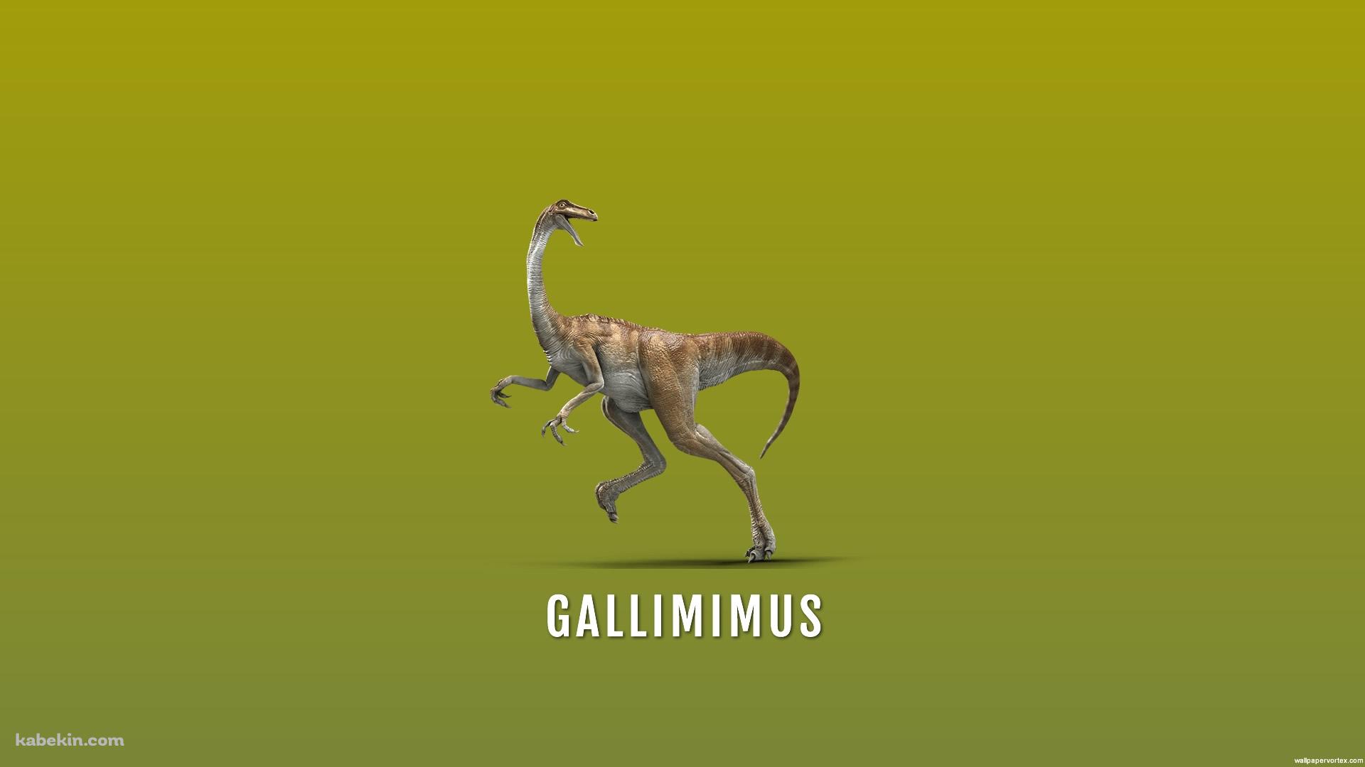 ガリミムスの壁紙(1920px x 1080px) 高画質 PC・デスクトップ用