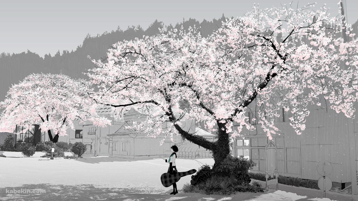 桜と女子高生の壁紙(1366px x 768px) 高画質 PC・デスクトップ用