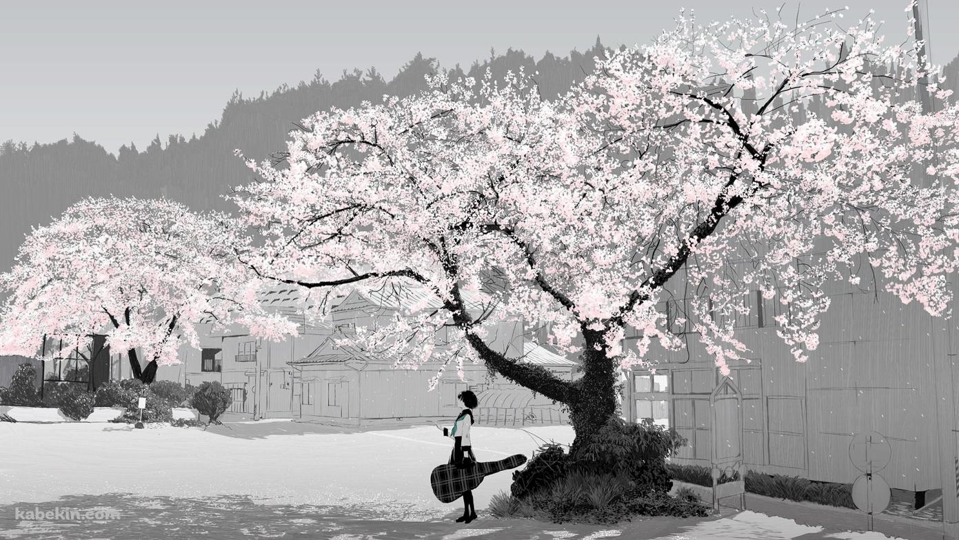 桜と女子高生の壁紙(1391px x 783px) 高画質 PC・デスクトップ用