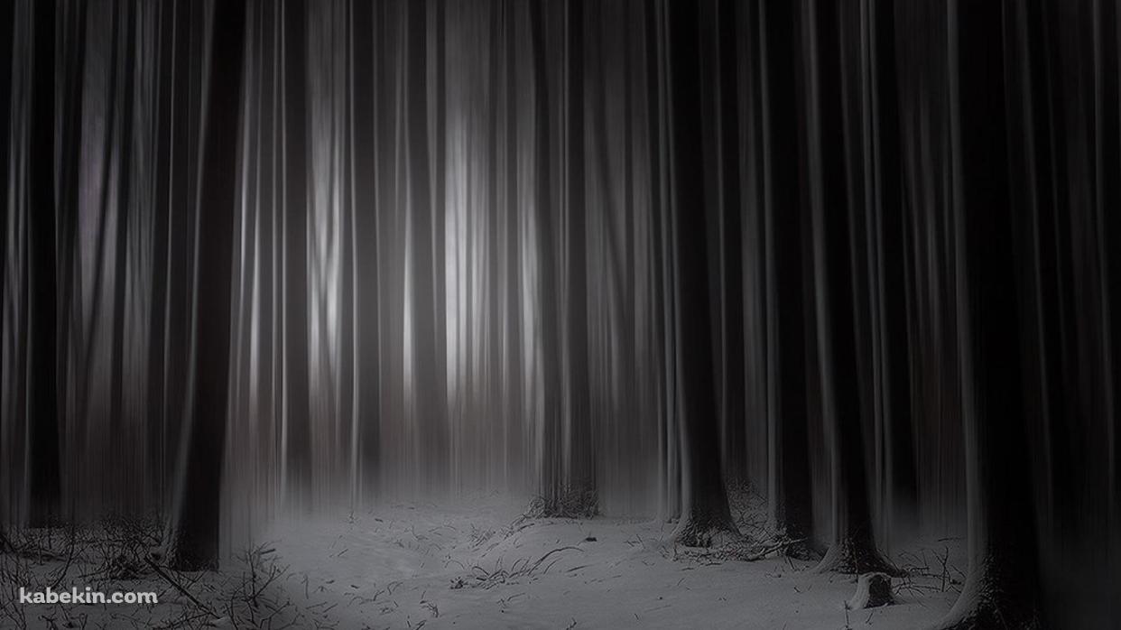 仄暗い森 ダークフォレストの壁紙(1242px x 698px) 高画質 PC・デスクトップ用