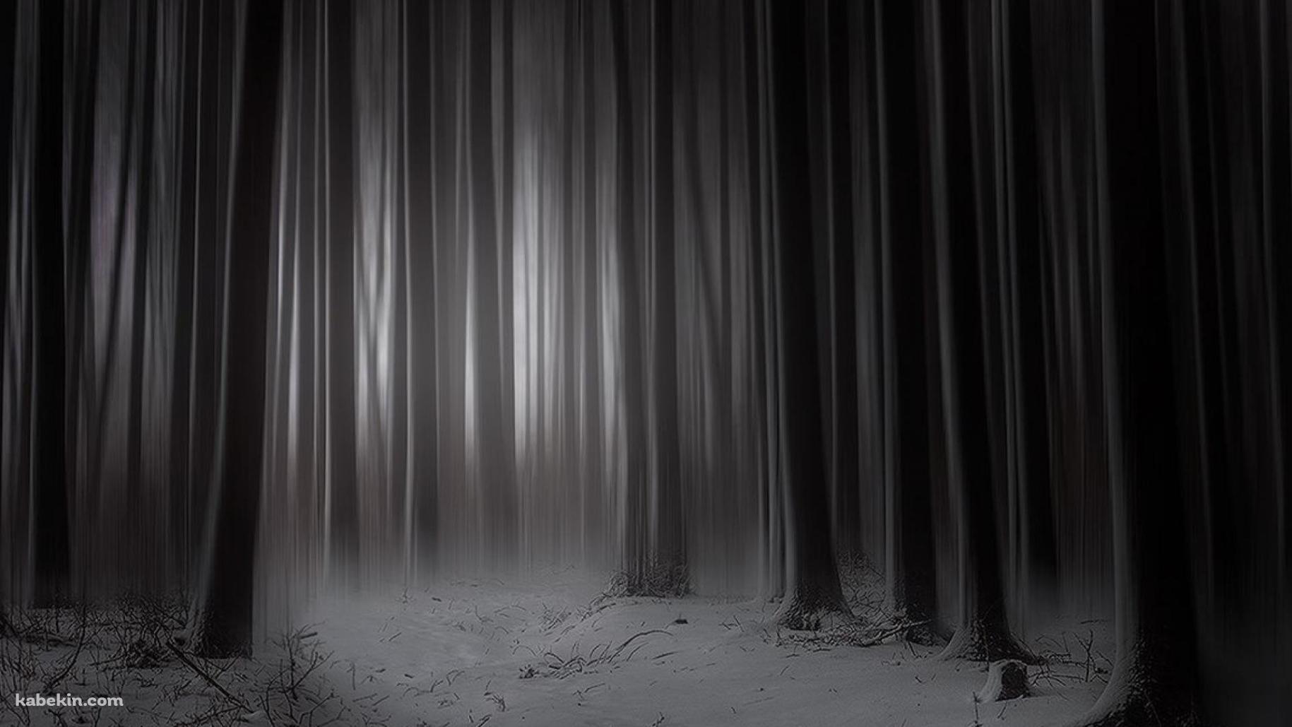 仄暗い森 ダークフォレストの壁紙(1829px x 1029px) 高画質 PC・デスクトップ用