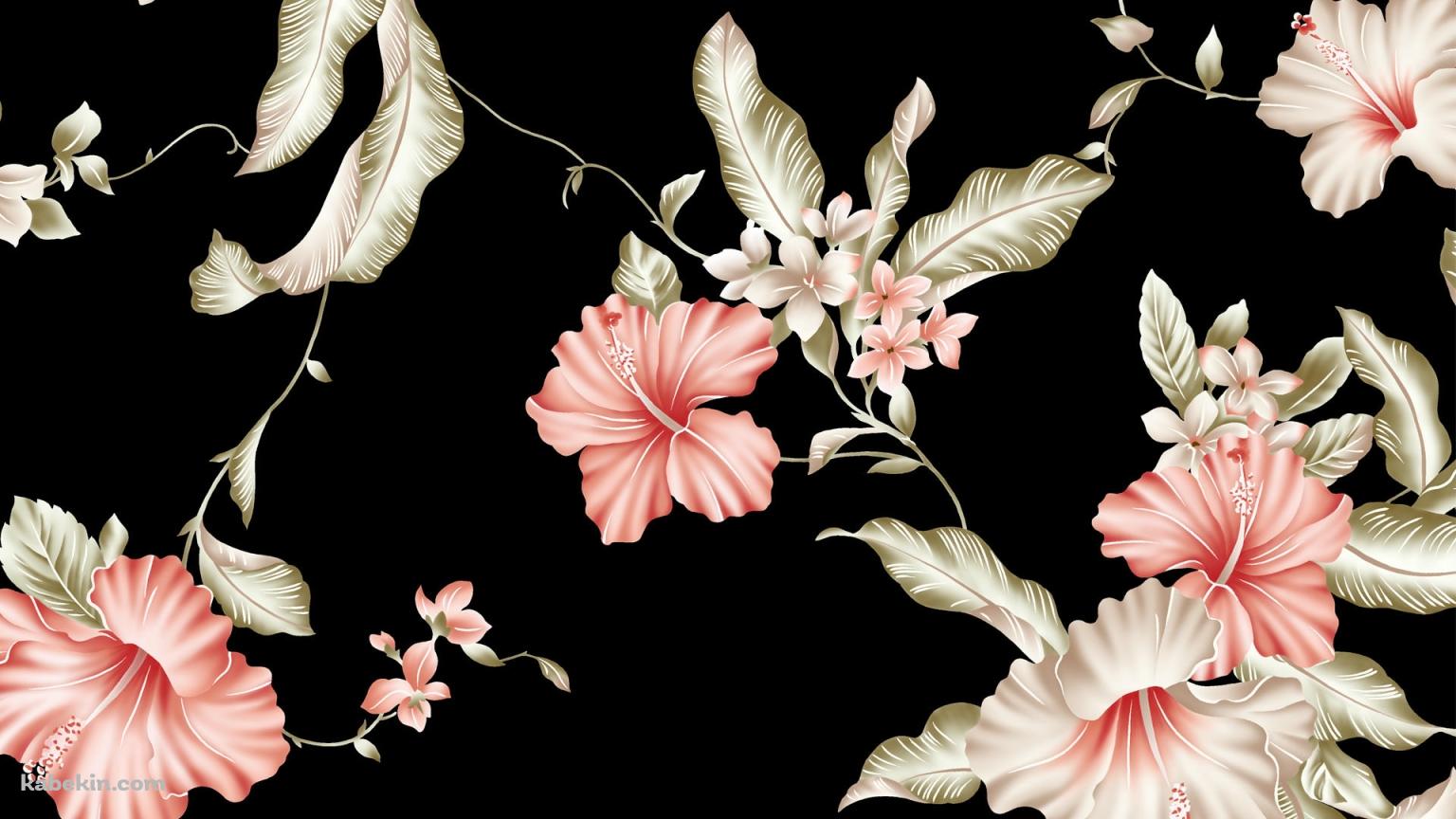 ハイビスカスの壁紙(1536px x 864px) 高画質 PC・デスクトップ用