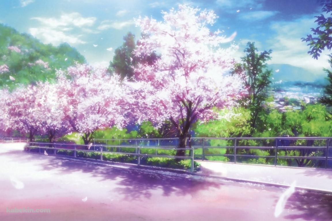 桜のイラストの壁紙(1152px x 768px) 高画質 PC・デスクトップ用