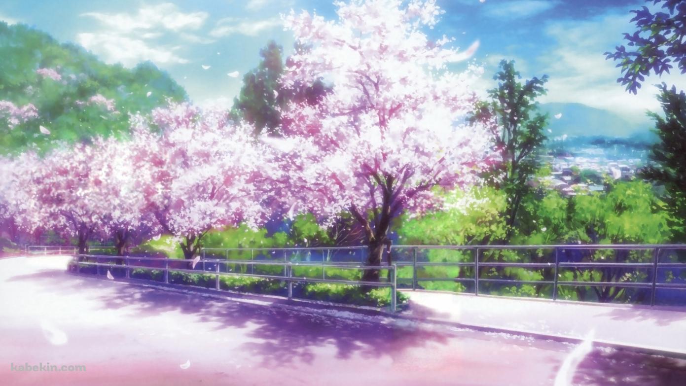 桜のイラストの壁紙(1391px x 783px) 高画質 PC・デスクトップ用