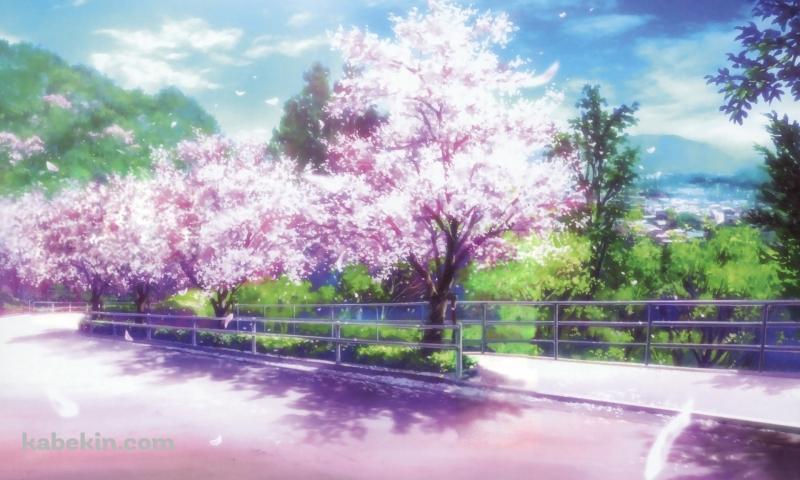 桜のイラストの壁紙(800px x 480px) 高画質 PC・デスクトップ用
