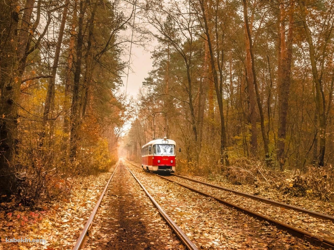 ウクライナ 秋の紅葉 電車の壁紙(1280px x 960px) 高画質 PC・デスクトップ用