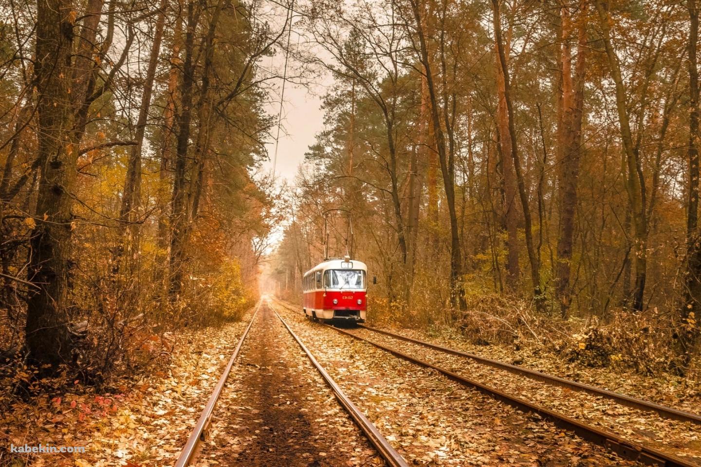 ウクライナ 秋の紅葉 電車の壁紙(1440px x 960px) 高画質 PC・デスクトップ用