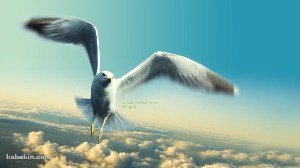 カモメのジョナサンの壁紙(1024px x 576px) 高画質 PC・デスクトップ用
