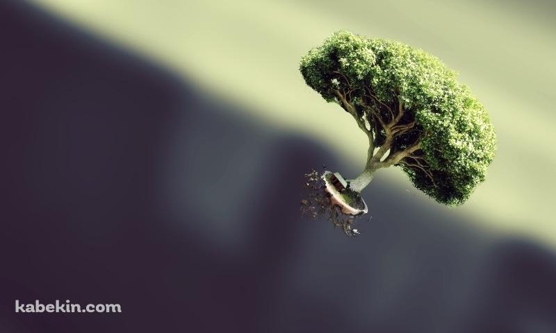空飛ぶ盆栽の壁紙(800px x 480px) 高画質 PC・デスクトップ用