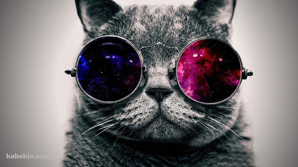 パンクな猫の壁紙(1024px x 576px) 高画質 PC・デスクトップ用