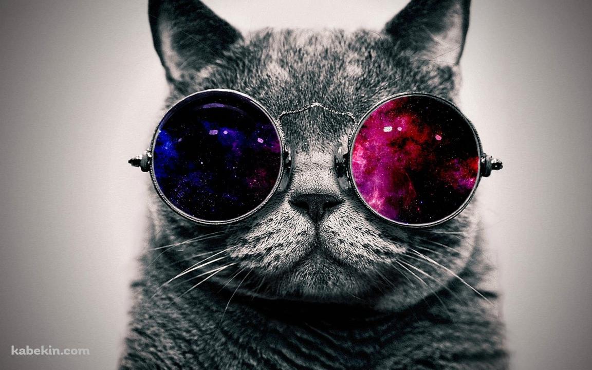 パンクな猫の壁紙(1152px x 720px) 高画質 PC・デスクトップ用