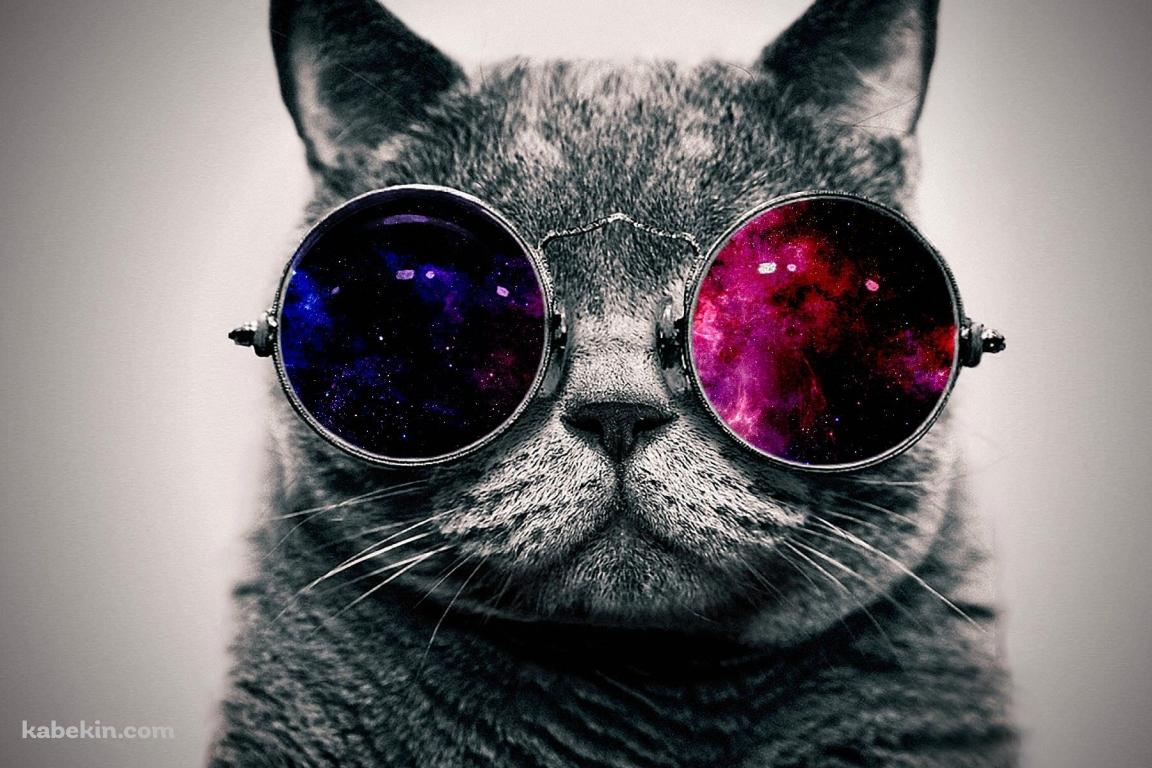 パンクな猫の壁紙(1152px x 768px) 高画質 PC・デスクトップ用