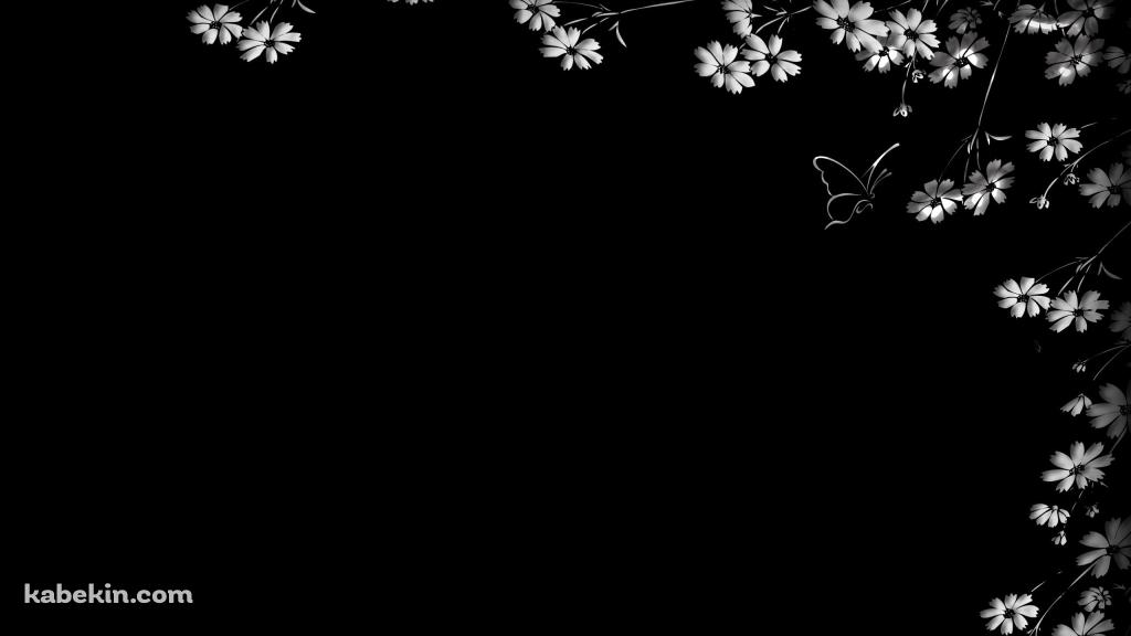 白い花と蝶の壁紙(1024px x 576px) 高画質 PC・デスクトップ用