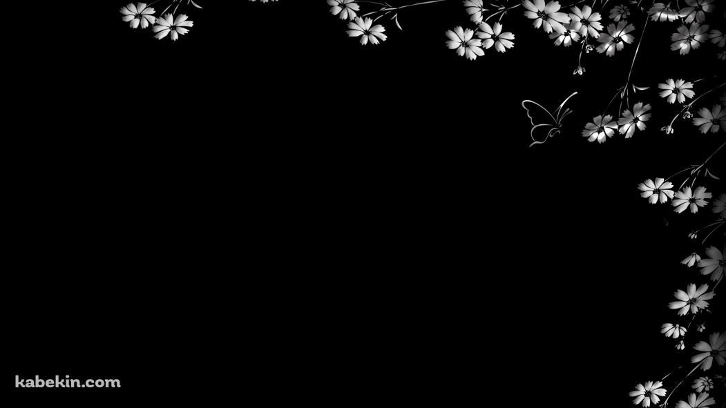 白い花と蝶の壁紙(1051px x 591px) 高画質 PC・デスクトップ用