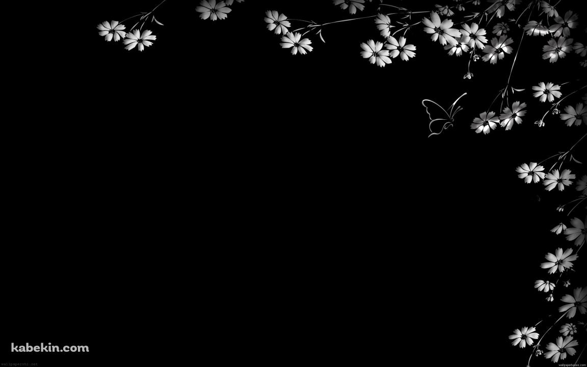 白い花と蝶の壁紙(1152px x 720px) 高画質 PC・デスクトップ用