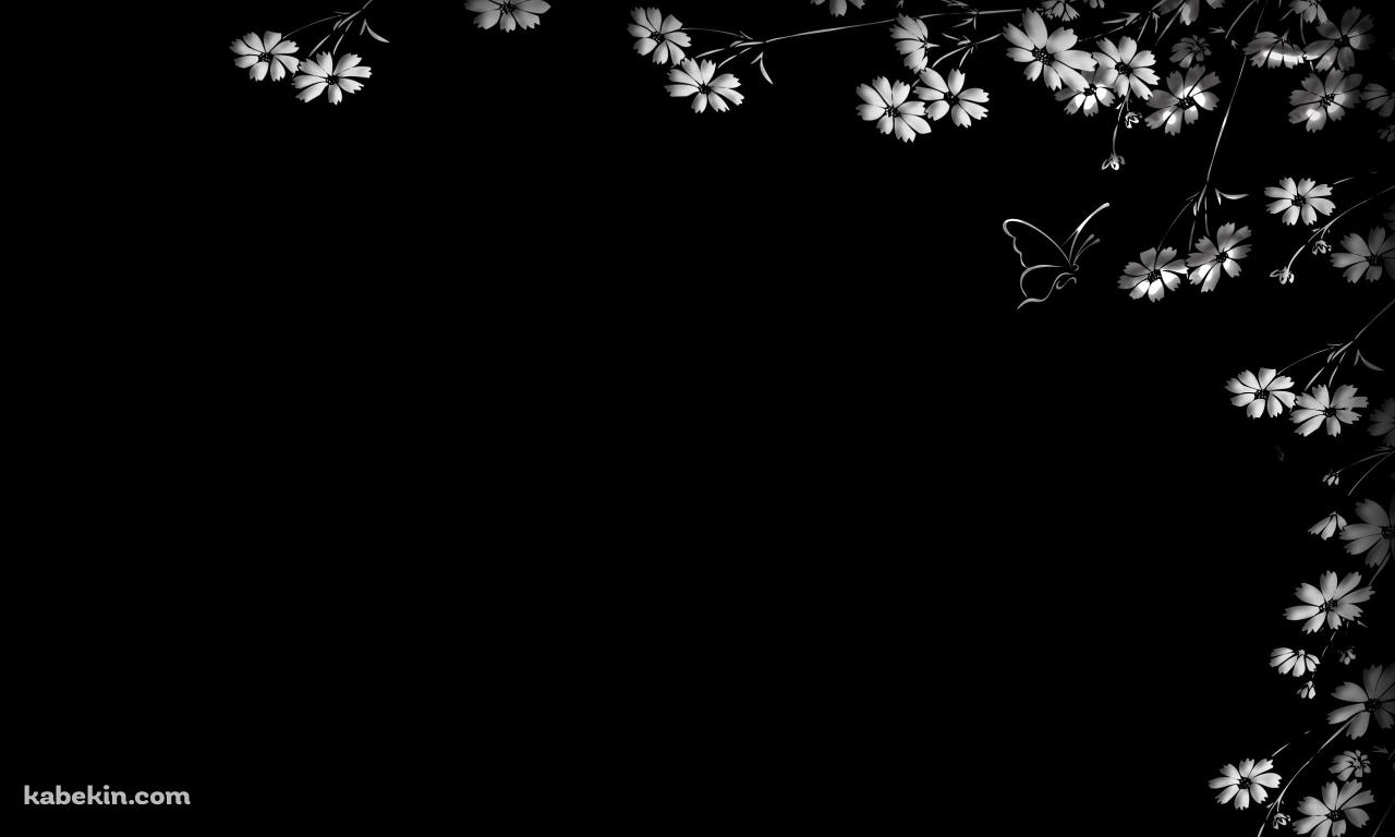 白い花と蝶の壁紙(1280px x 768px) 高画質 PC・デスクトップ用