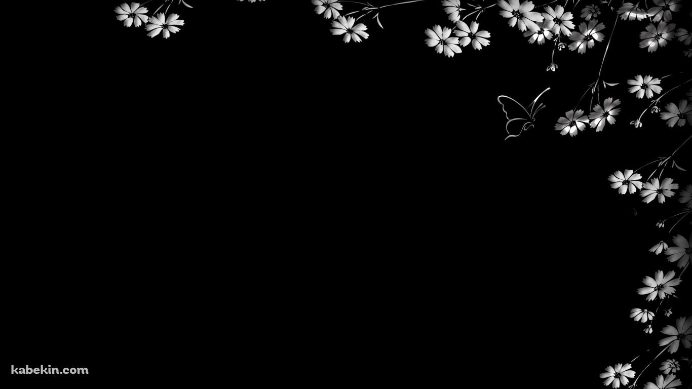 白い花と蝶の壁紙(1366px x 768px) 高画質 PC・デスクトップ用