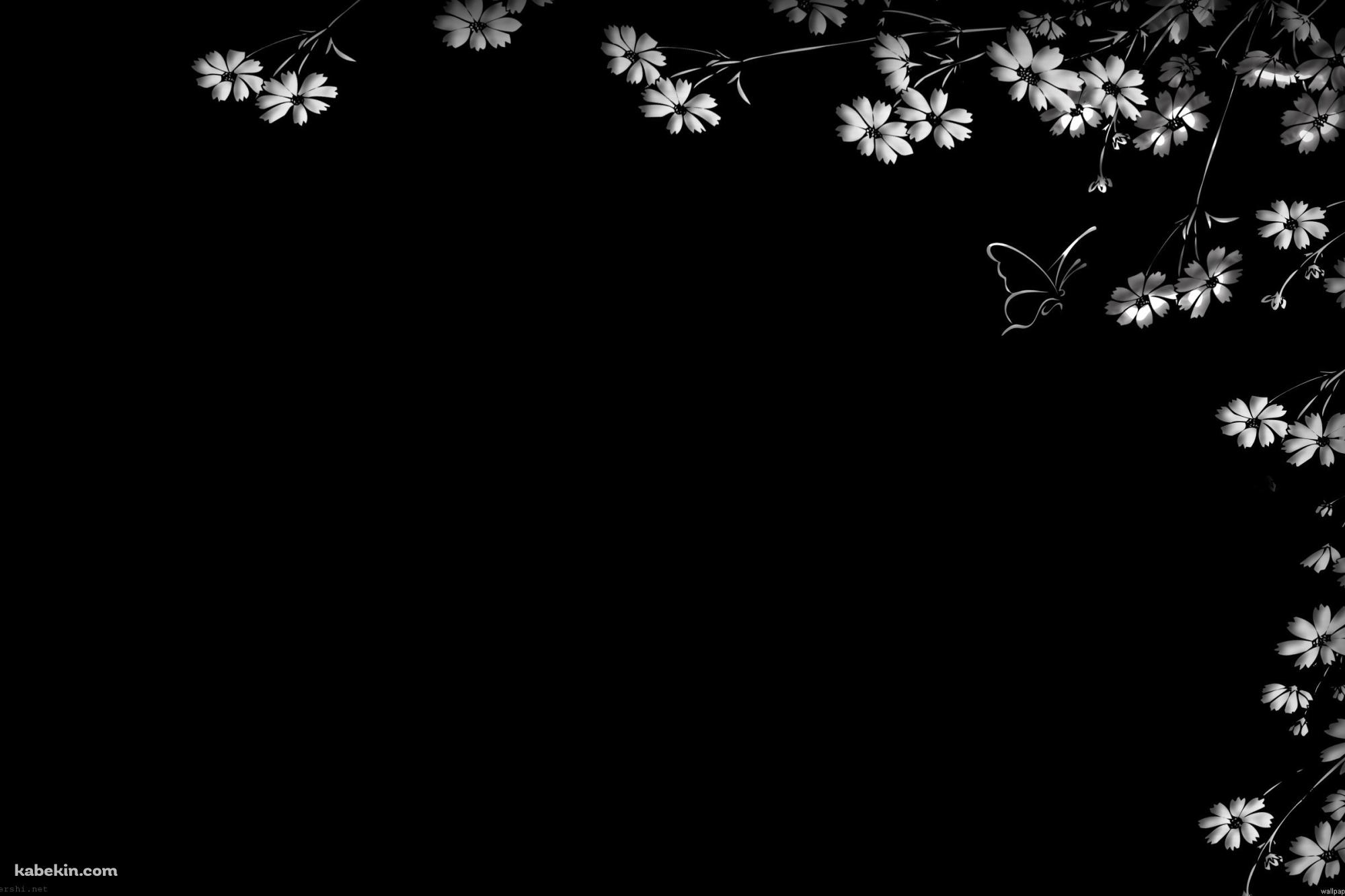 白い花と蝶の壁紙(2000px x 1333px) 高画質 PC・デスクトップ用