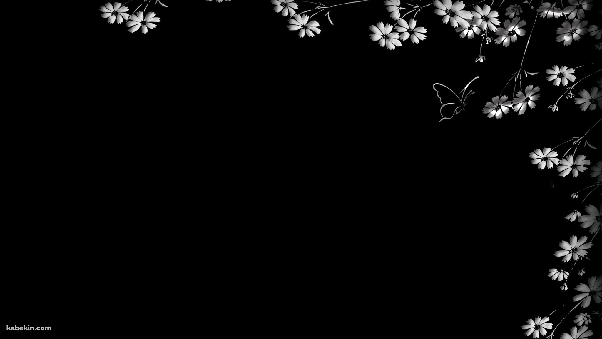 白い花と蝶の壁紙(2048px x 1152px) 高画質 PC・デスクトップ用