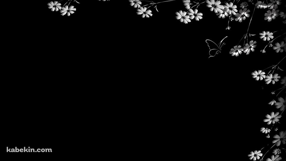 白い花と蝶の壁紙(960px x 540px) 高画質 PC・デスクトップ用