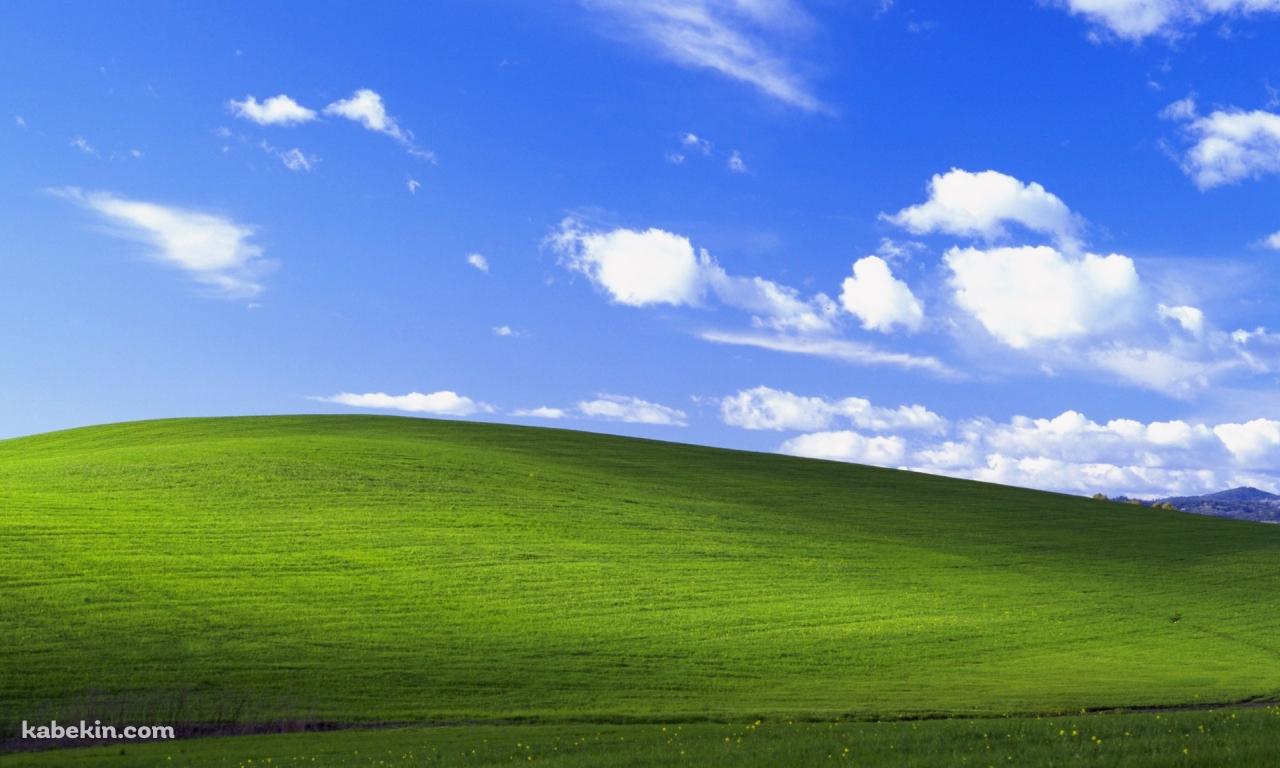 windows xp 綺麗な丘と青空の壁紙(1280px x 768px) 高画質 PC・デスクトップ用