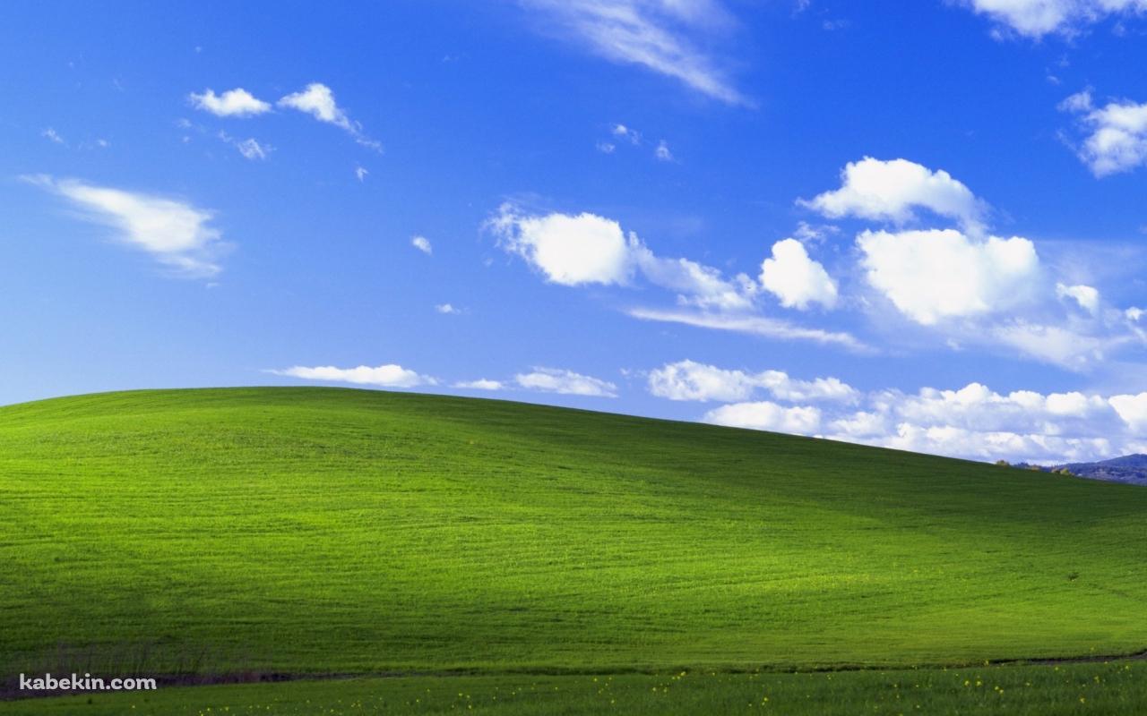 windows xp 綺麗な丘と青空の壁紙(1280px x 800px) 高画質 PC・デスクトップ用