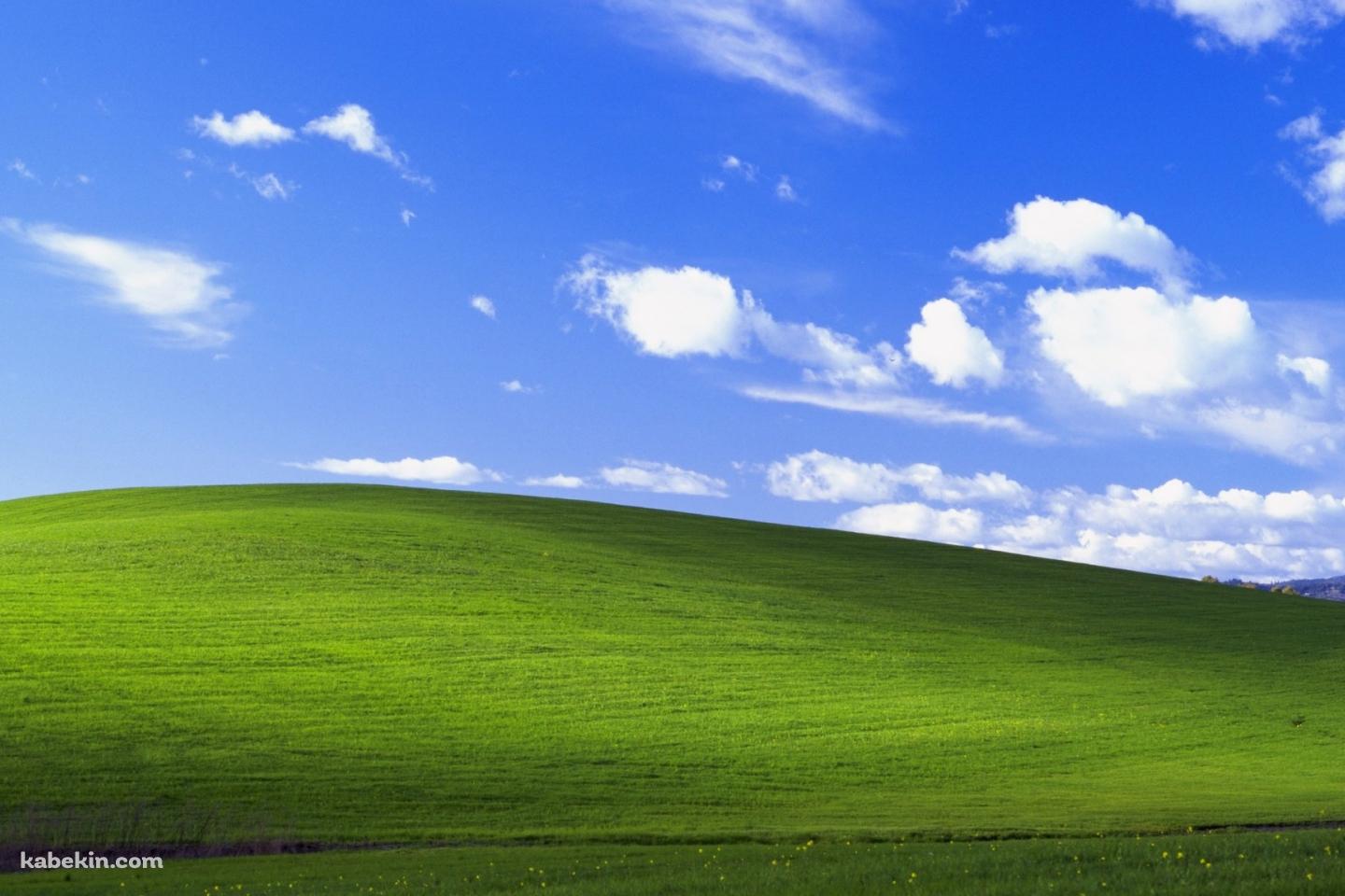 windows xp 綺麗な丘と青空の壁紙(1440px x 960px) 高画質 PC・デスクトップ用