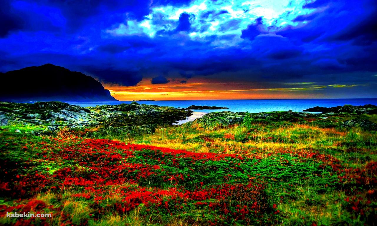赤い花畑と海の壁紙(1280px x 768px) 高画質 PC・デスクトップ用