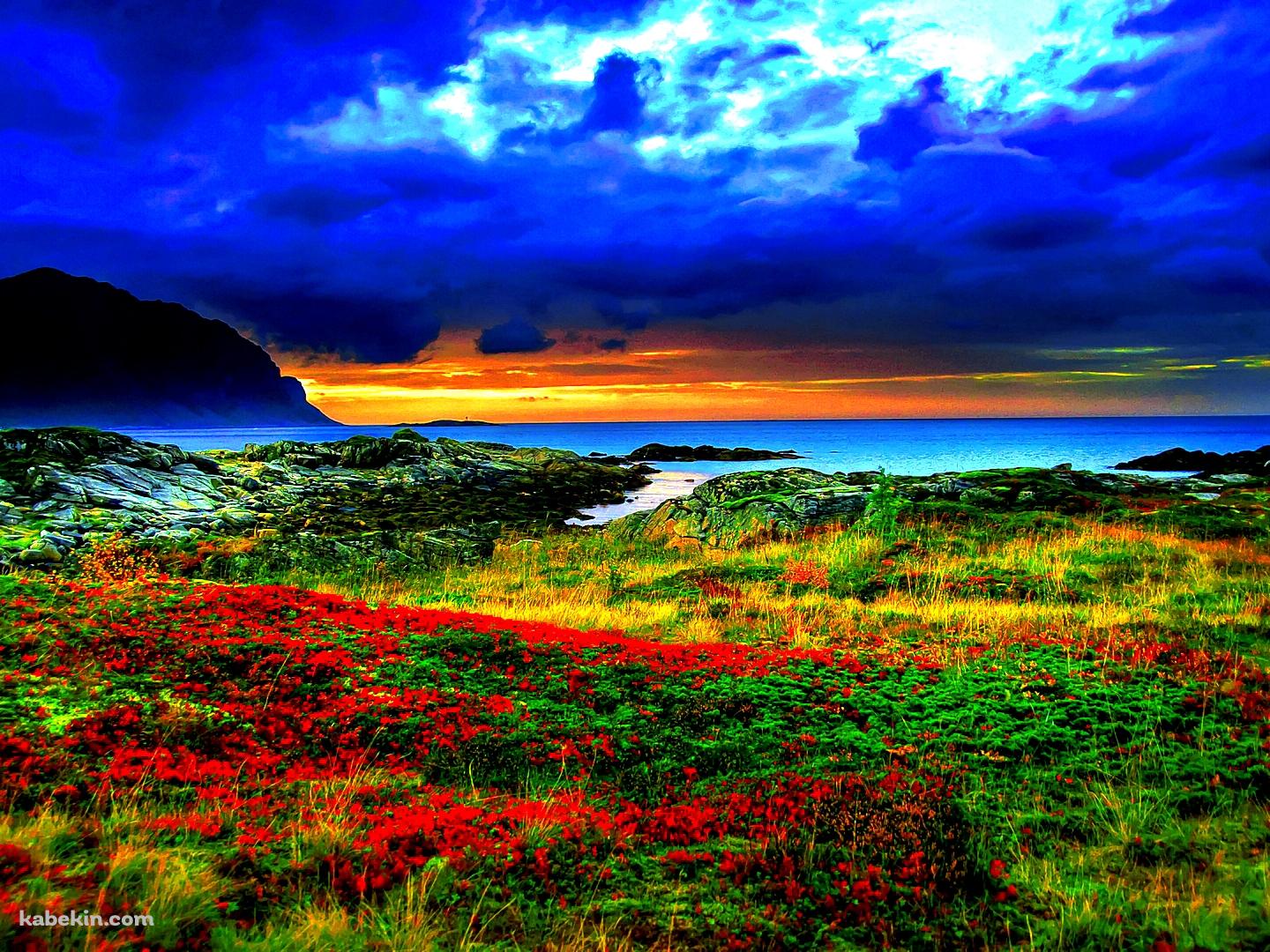 赤い花畑と海の壁紙(1440px x 1080px) 高画質 PC・デスクトップ用