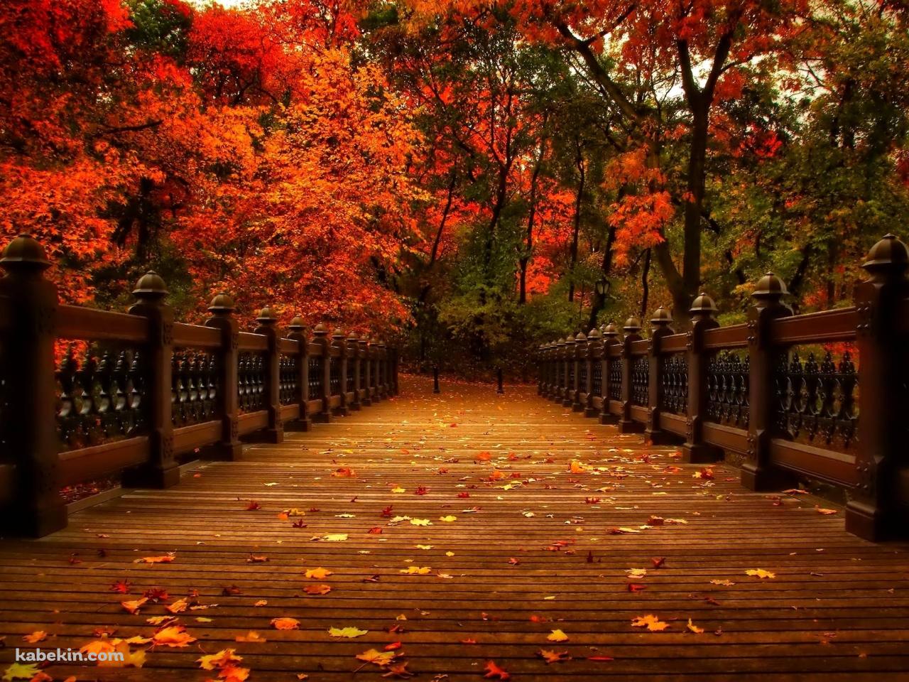 紅葉と落ち葉が敷き詰める橋の壁紙(1280px x 960px) 高画質 PC・デスクトップ用