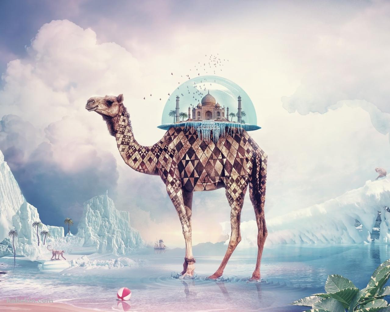 ラクダ ファンタジーの壁紙(1280px x 1024px) 高画質 PC・デスクトップ用