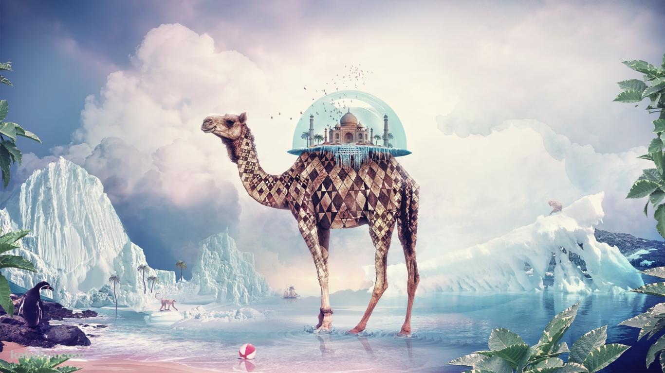 ラクダ ファンタジーの壁紙(1366px x 768px) 高画質 PC・デスクトップ用