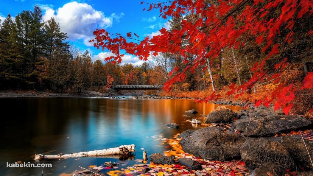 川岸の紅葉の壁紙(1051px x 591px) 高画質 PC・デスクトップ用
