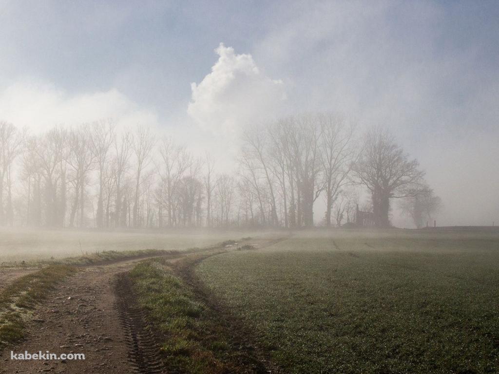霧立ちこめる土地の壁紙(1024px x 768px) 高画質 PC・デスクトップ用