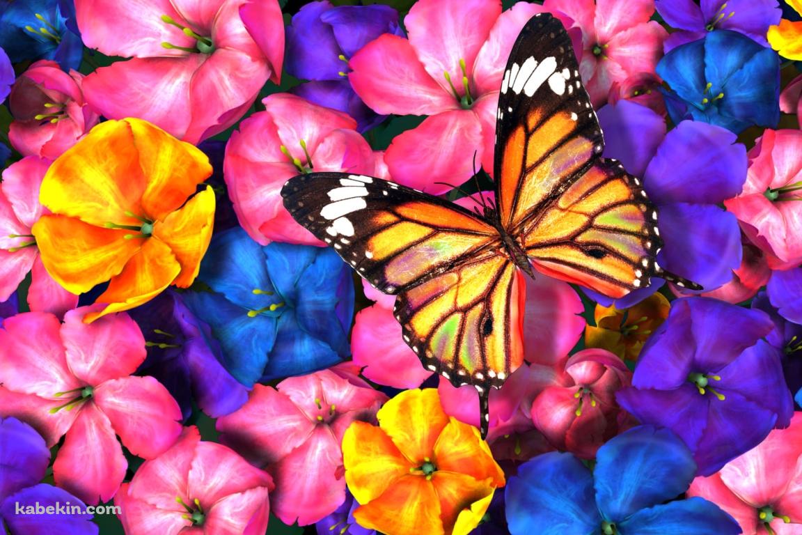 カラフルな花と黄色の蝶の壁紙(1152px x 768px) 高画質 PC・デスクトップ用