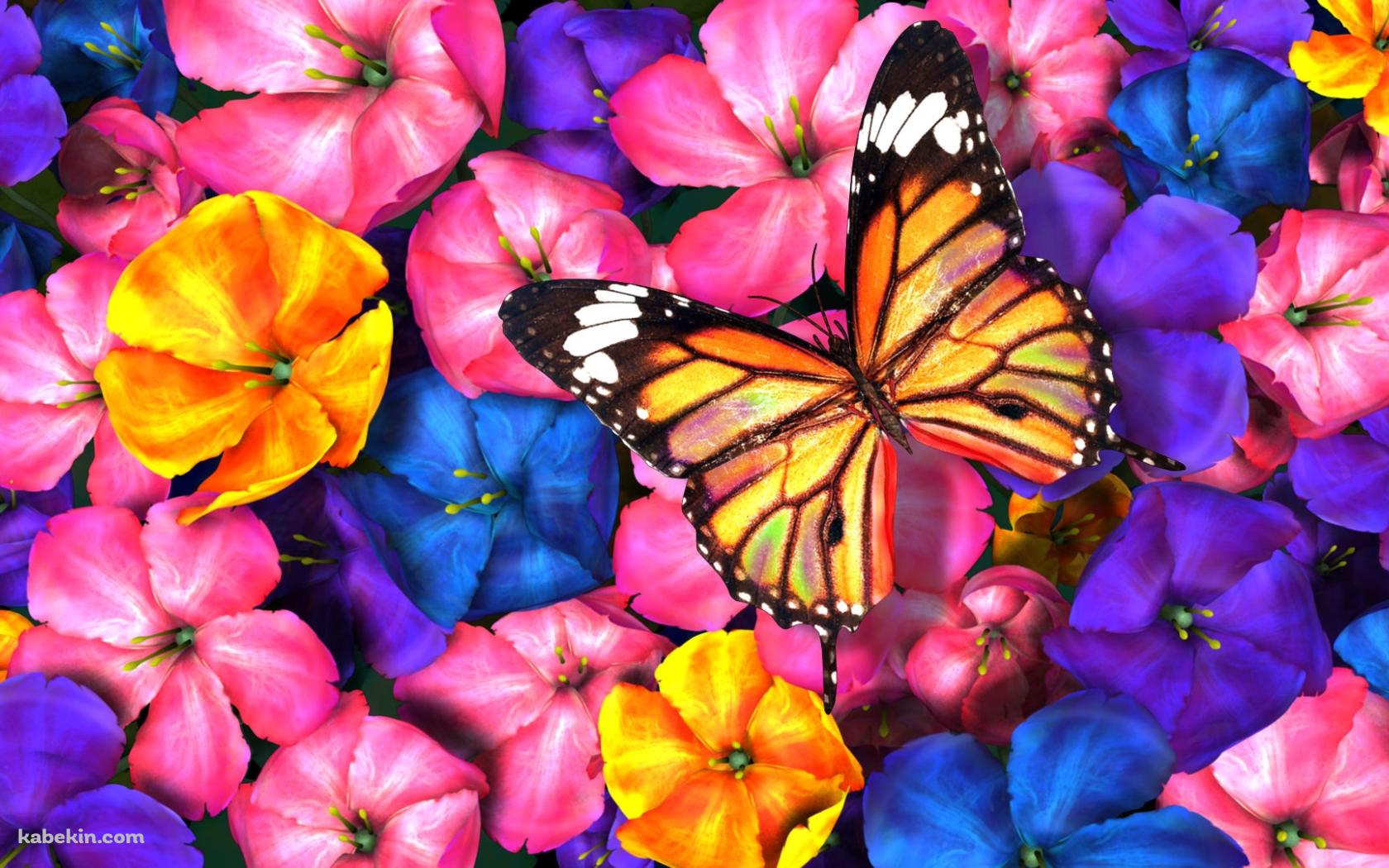 カラフルな花と黄色の蝶の壁紙(1680px x 1050px) 高画質 PC・デスクトップ用