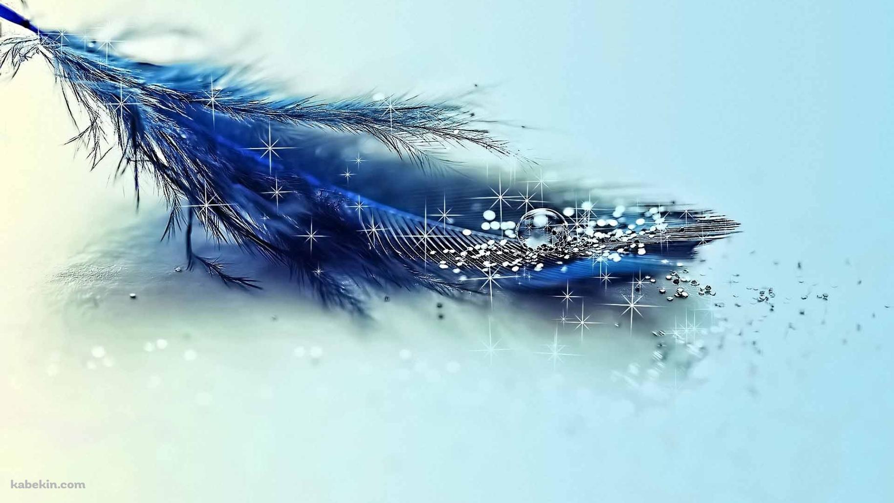 鳥の羽の壁紙(1829px x 1029px) 高画質 PC・デスクトップ用