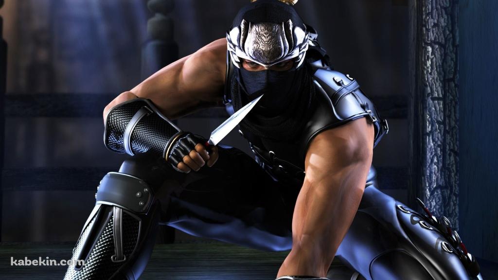 ニンジャガイデン リュウ・ハヤブサの壁紙(1024px x 576px) 高画質 PC・デスクトップ用