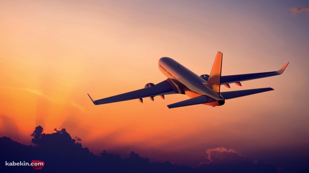 フライトする飛行機の壁紙(1242px x 698px) 高画質 PC・デスクトップ用