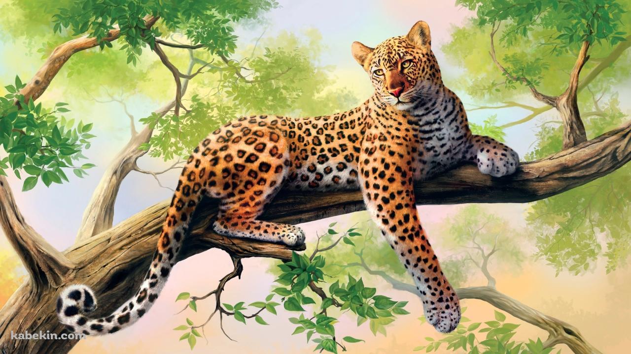 木の上の豹の壁紙(1280px x 720px) 高画質 PC・デスクトップ用