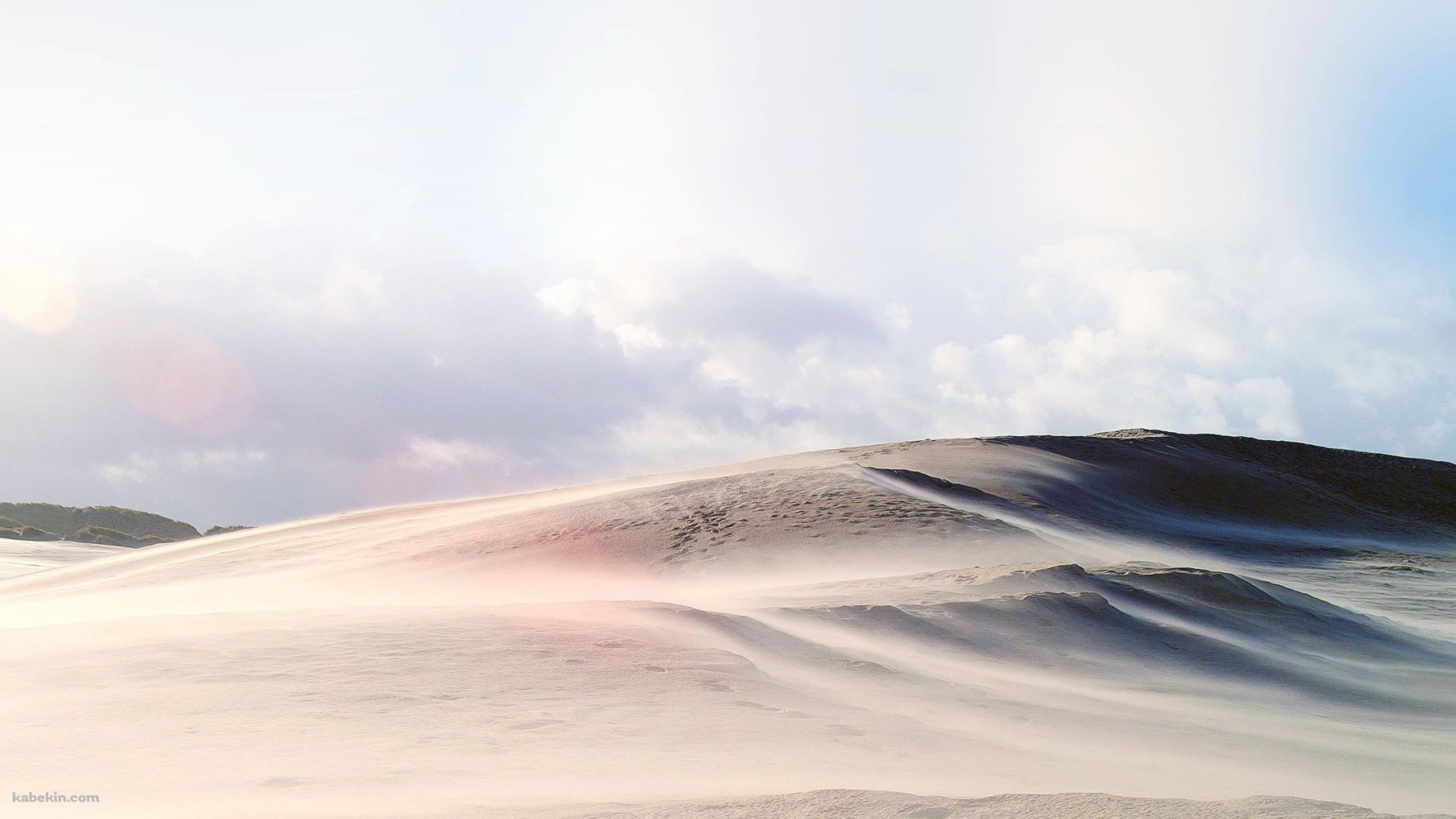 Desertの壁紙(2560px x 1440px) 高画質 PC・デスクトップ用