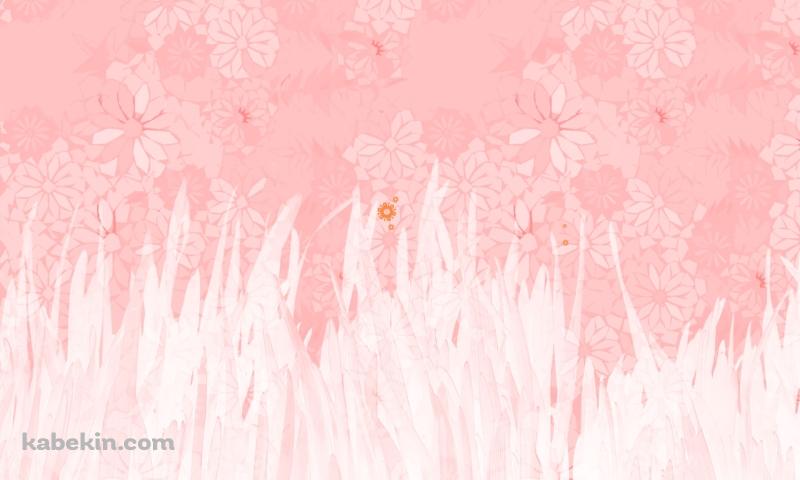 ピンク 花 フラワー 水彩の壁紙(800px x 480px) 高画質 PC・デスクトップ用