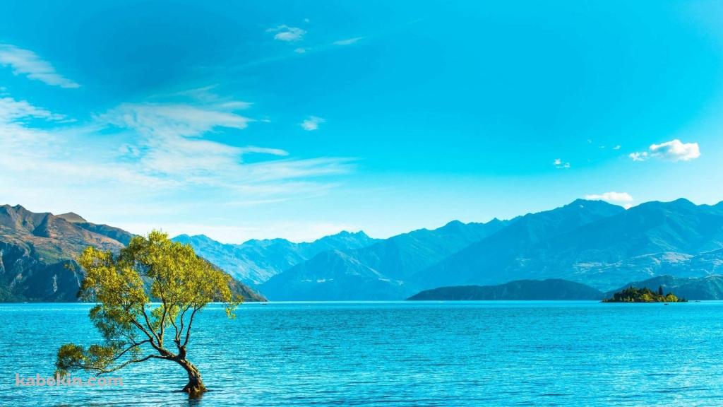 広大な湖 緑の木 山脈の壁紙(1024px x 576px) 高画質 PC・デスクトップ用