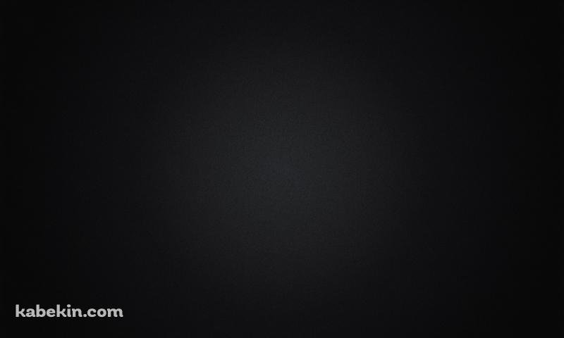 Blackの壁紙(800px x 480px) 高画質 PC・デスクトップ用